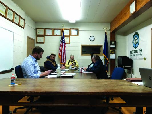 Above - Twin Bridges town council approved a resolution to create a Special Improvement District to handle stormwater runoff in the town at its Tuesday, January 8 meeting. (J. Taylor)