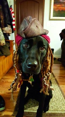 Submitted by Kristi May Reynolds Sturgill