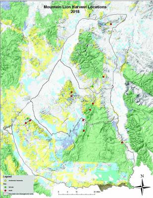 This map illustrates the locations where mountain lions were taken by hunters.