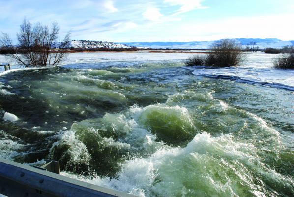Odell Creek was flowing high and just under the concrete bridge that crosses the creek on Friday, February 22. Its waters are higher than usual due to a portion of the Madison River being pushed into the creek’s normal channel.