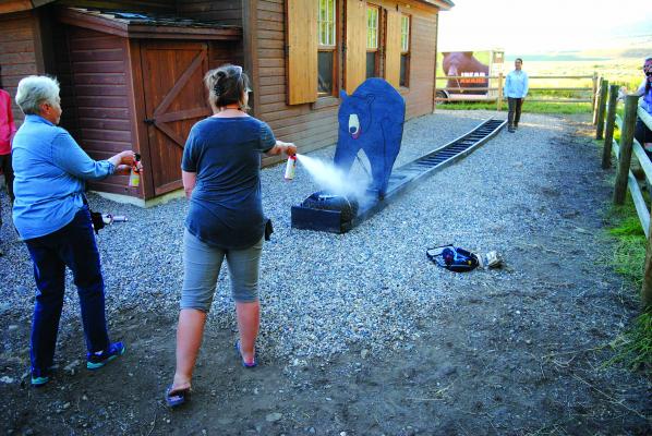 How two ladies reacted to a bear attack. Their efforts, spraying low, would likely have been successful on the real thing.
