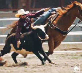Bulldogging. PHOTO COURTESY NEWT NOVICH