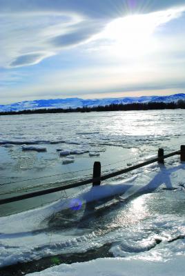 This scene, at Valley Garden FAS, shows the extent of the flooding – and subsequent freezing – as a result of the Madison River’s flow being diverted by ice gorging. (J. Taylor photos)