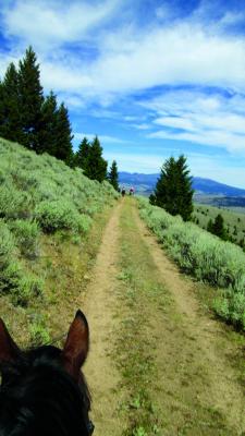 A horse’s eye view of the Poker Ride route. (J. Taylor)