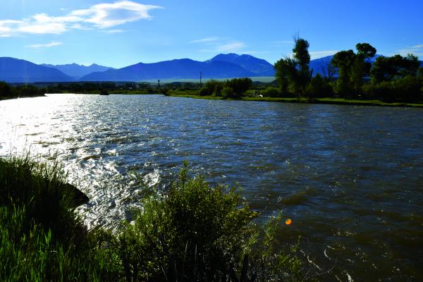 Above: The Madison River is flowing higher than average for early June, but faces little flood risk this summer. However, the Jefferson, Yellowstone and Missouri rivers are flirting with dangerous flood stages (R. Colyer photo)