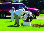 Brian Stoner (center) sweeps bees off a branch into a hive box on Friday, July 13. The bees were relocated to the home of a nearby beekeeper who had lost a hive last winter. (Patti Warburton photo)