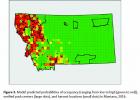 This model shows the predicted probabilities of occupancy, ranging from low (greeen)  to high (red) of verified wolf pack centers (large dots) and harvest locations (small dots) in Montana during 2016. (FWP)