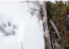 A fierce winter storm moved through southwest Montana early in the week. Reports of up to 4 feet of snow in the eastern Tobacco Roots could bolster snowpack.. This recent storm is not included in NRCS's reported numbers. PHOTO BY JOHN STEMBER