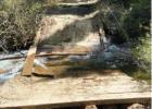 PHOTO COURTESY USFS