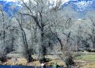 Montana has five categories of “beneficial uses:” aquatic life, primary contact recreation like fishing and swimming, drinking water, industrial uses and agricultural uses. A given water body must meet the standards of whatever of those uses it is designated for. (File photo)