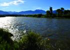 Above: The Madison River is flowing higher than average for early June, but faces little flood risk this summer. However, the Jefferson, Yellowstone and Missouri rivers are flirting with dangerous flood stages (R. Colyer photo)