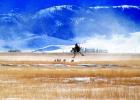 A FWP helicopter crew maneuvers a catch team into position to net pronghorns for the study (Kit Fisher, NWF photos)