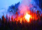 The Virginia Creek fire burned about 70 acres in August of 2018. (File photo)